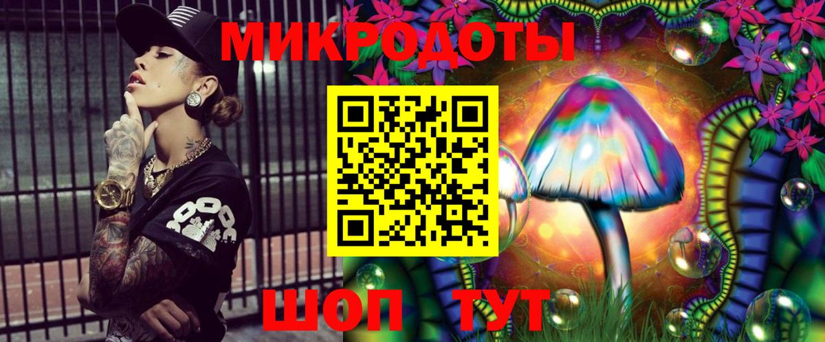 Галлюциногенные грибы Cubensis Карпинск